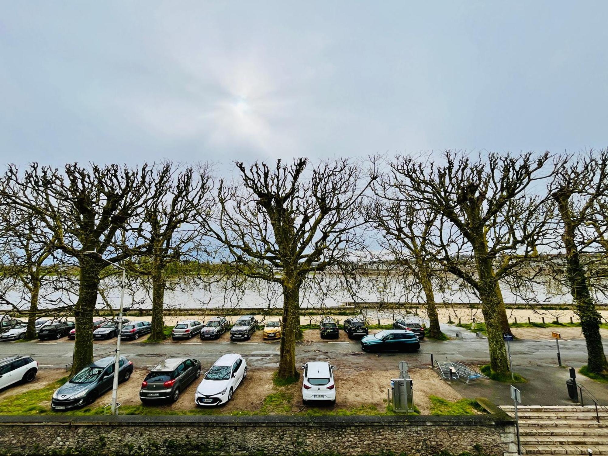 Hypercentre, Quai De Loire, Lumineux, Spacieux, Familial, Le Jehan De Saveuse Блуа Экстерьер фото